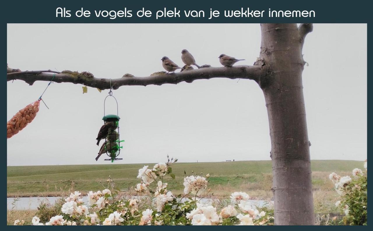 Vakantiewoning Deltahof Ellewoutsdijk 외부 사진