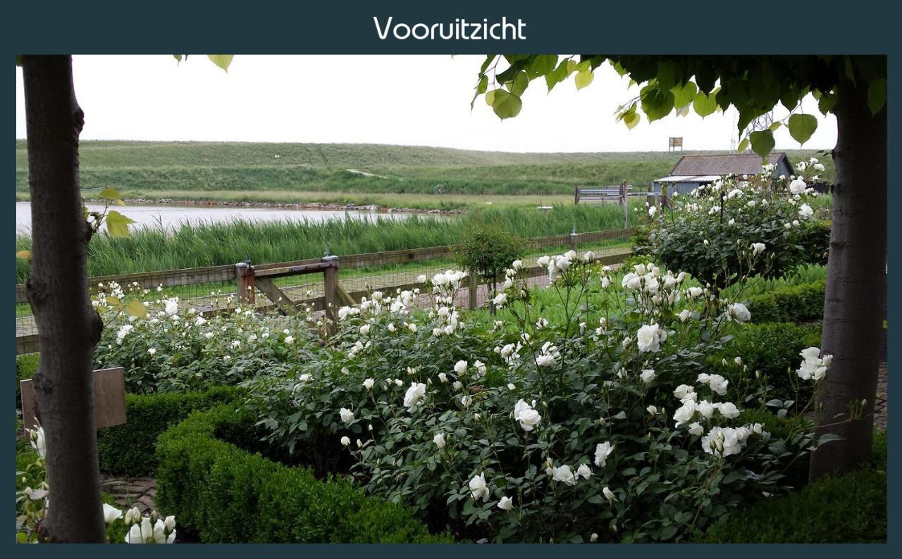 Vakantiewoning Deltahof Ellewoutsdijk 외부 사진