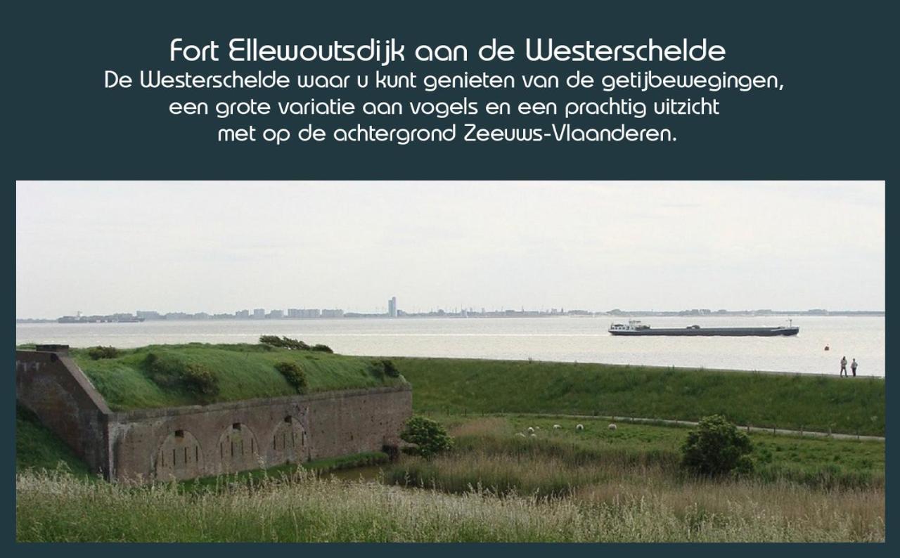 Vakantiewoning Deltahof Ellewoutsdijk 외부 사진