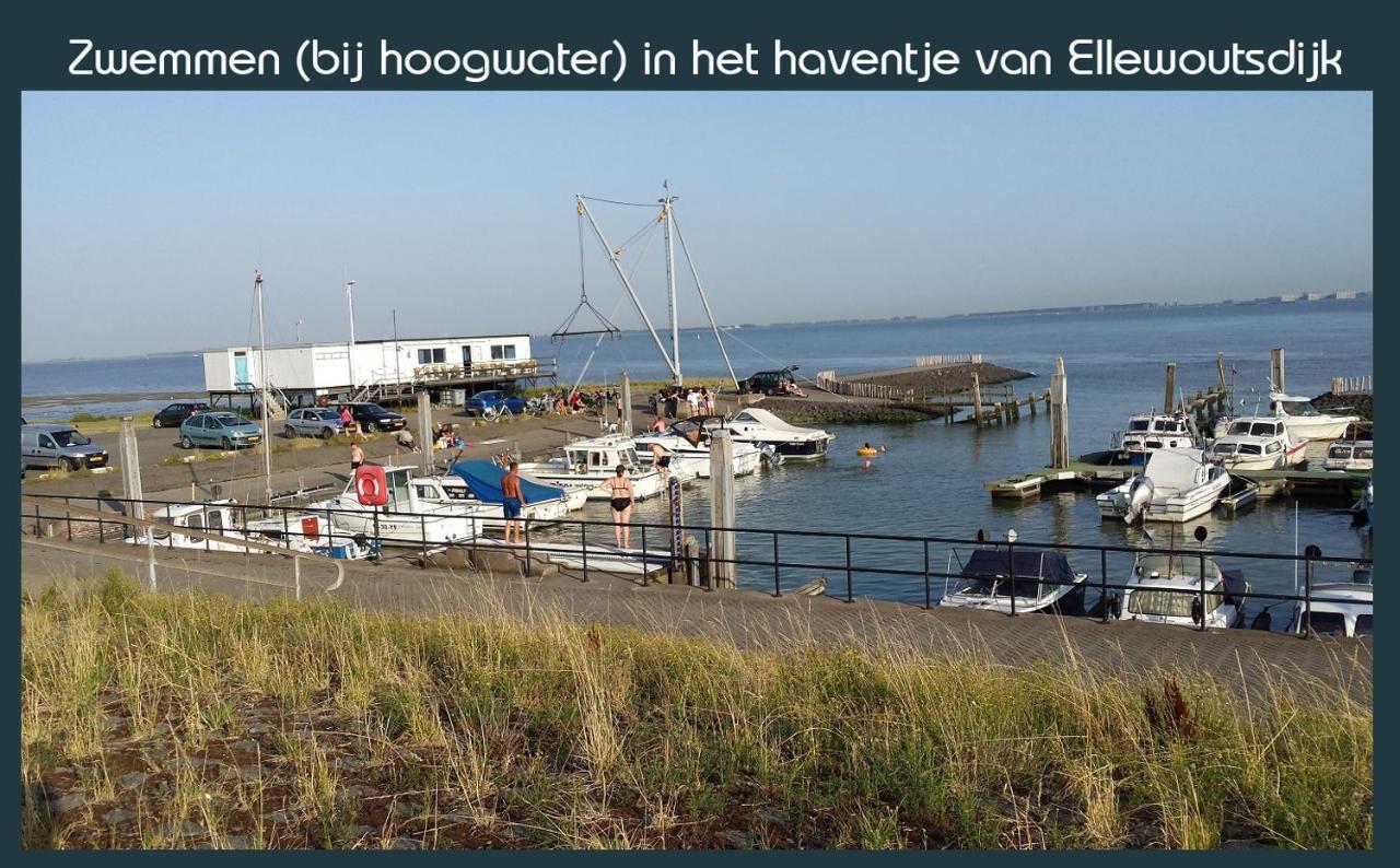 Vakantiewoning Deltahof Ellewoutsdijk 외부 사진