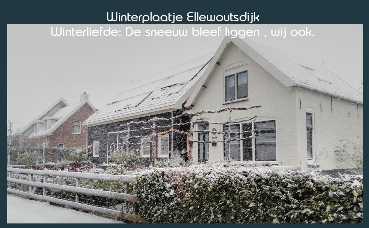 Vakantiewoning Deltahof Ellewoutsdijk 외부 사진