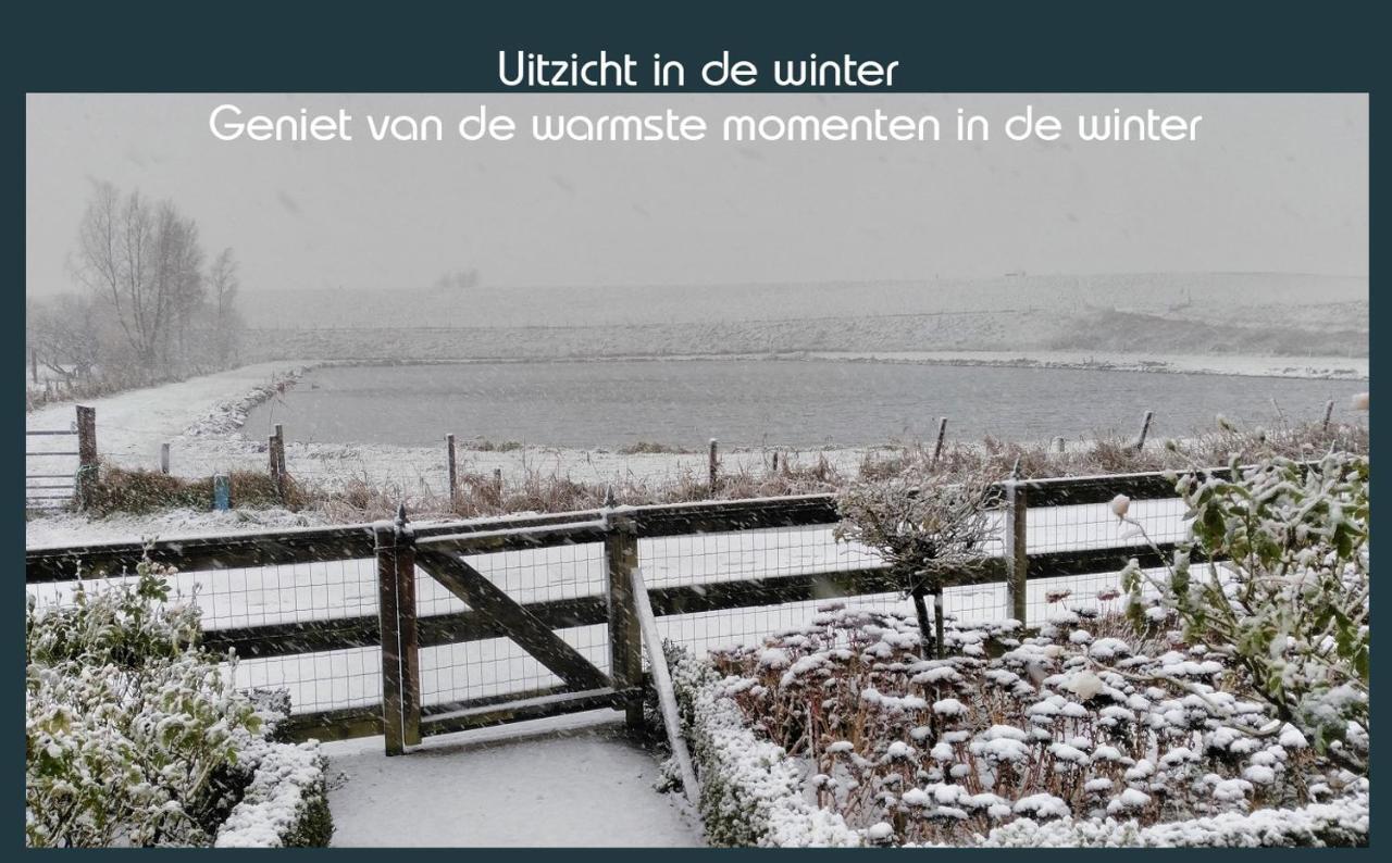 Vakantiewoning Deltahof Ellewoutsdijk 외부 사진